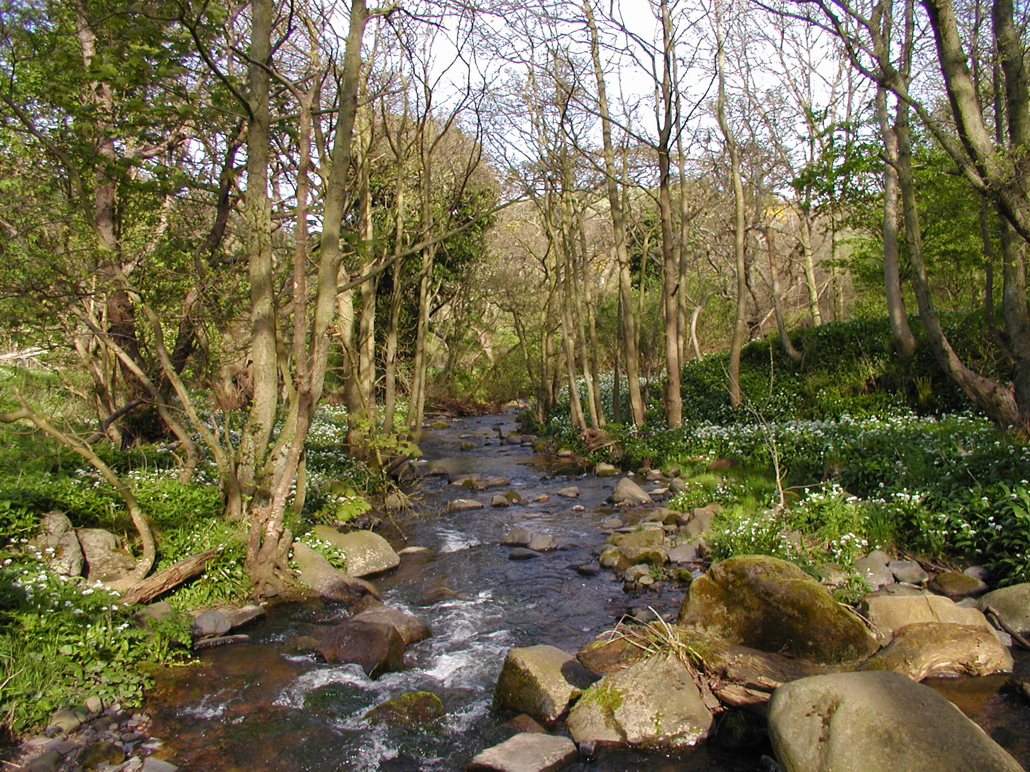 Pease Dean Wildlife Reserve