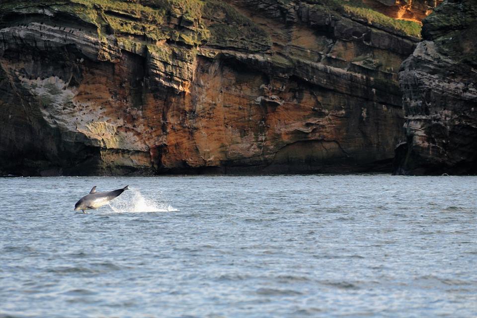 North 58 Sea Adventures