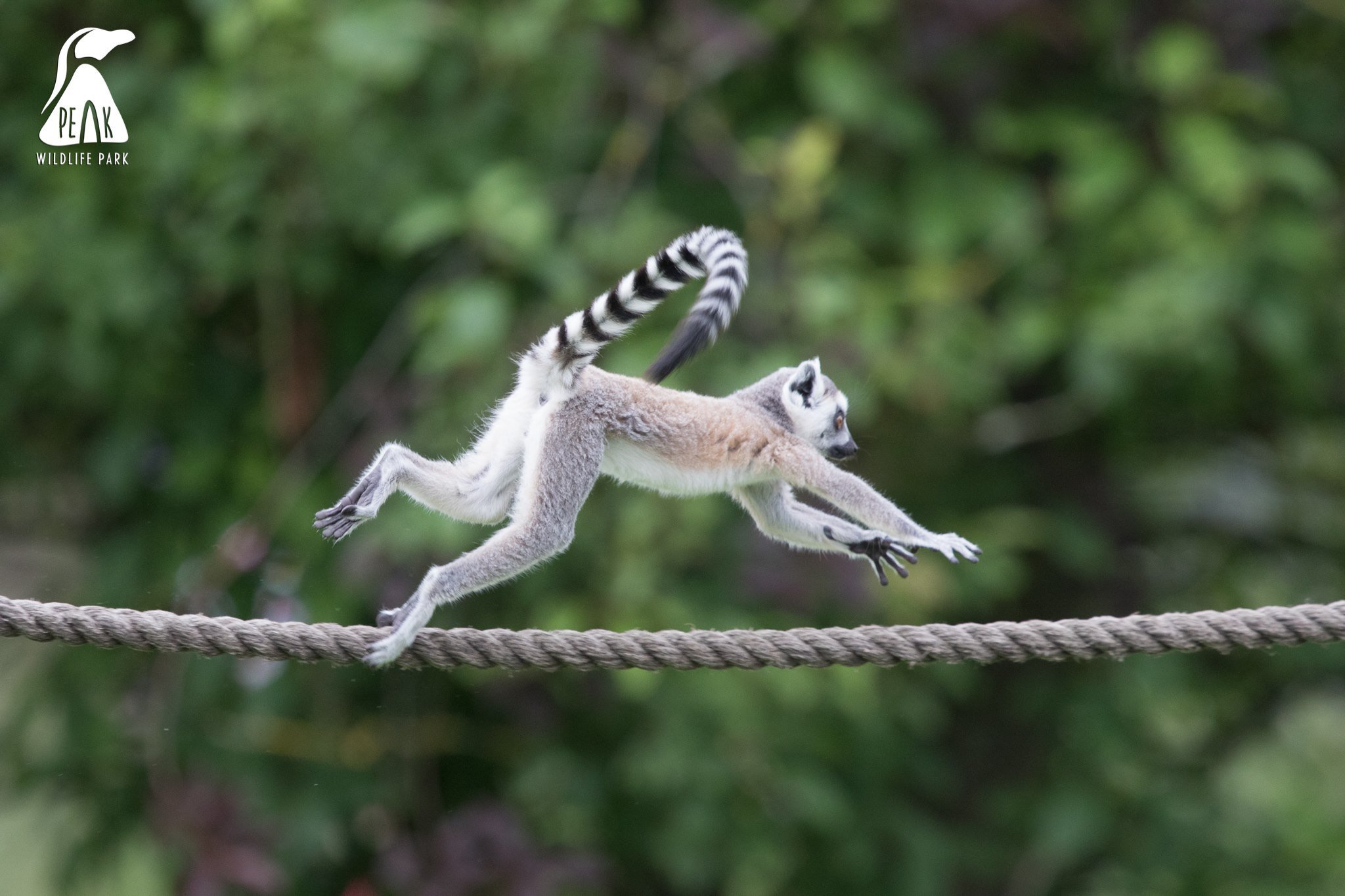 Peak Wildlife Park