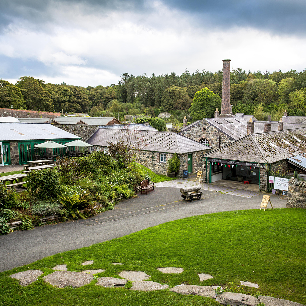 Parc Glynllifon