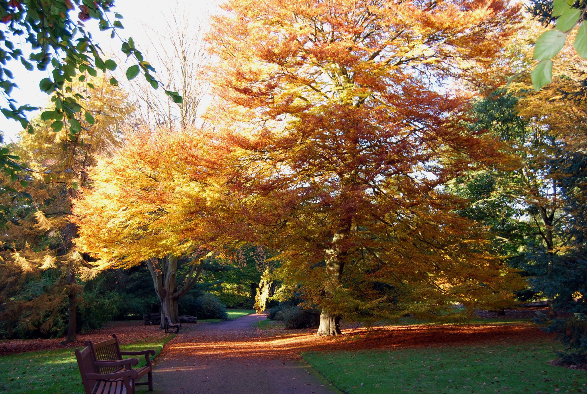 RBGE and John Hope Gateway