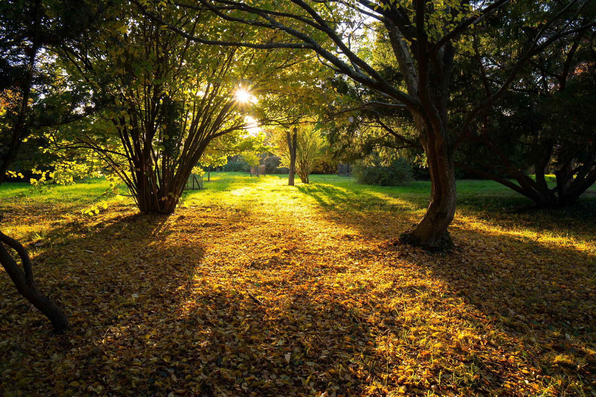 Sir Harold Hillier Gardens