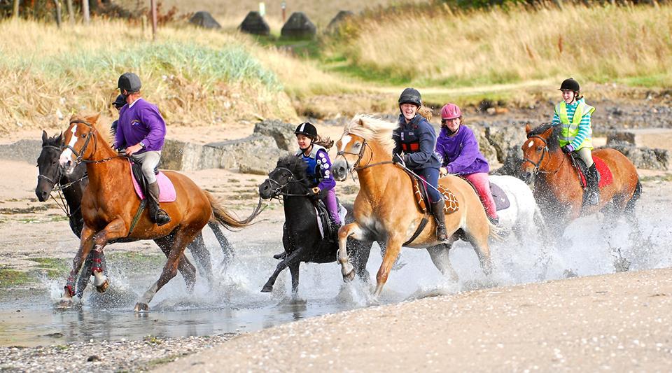 Scholland Equestrian at Kilconquhar