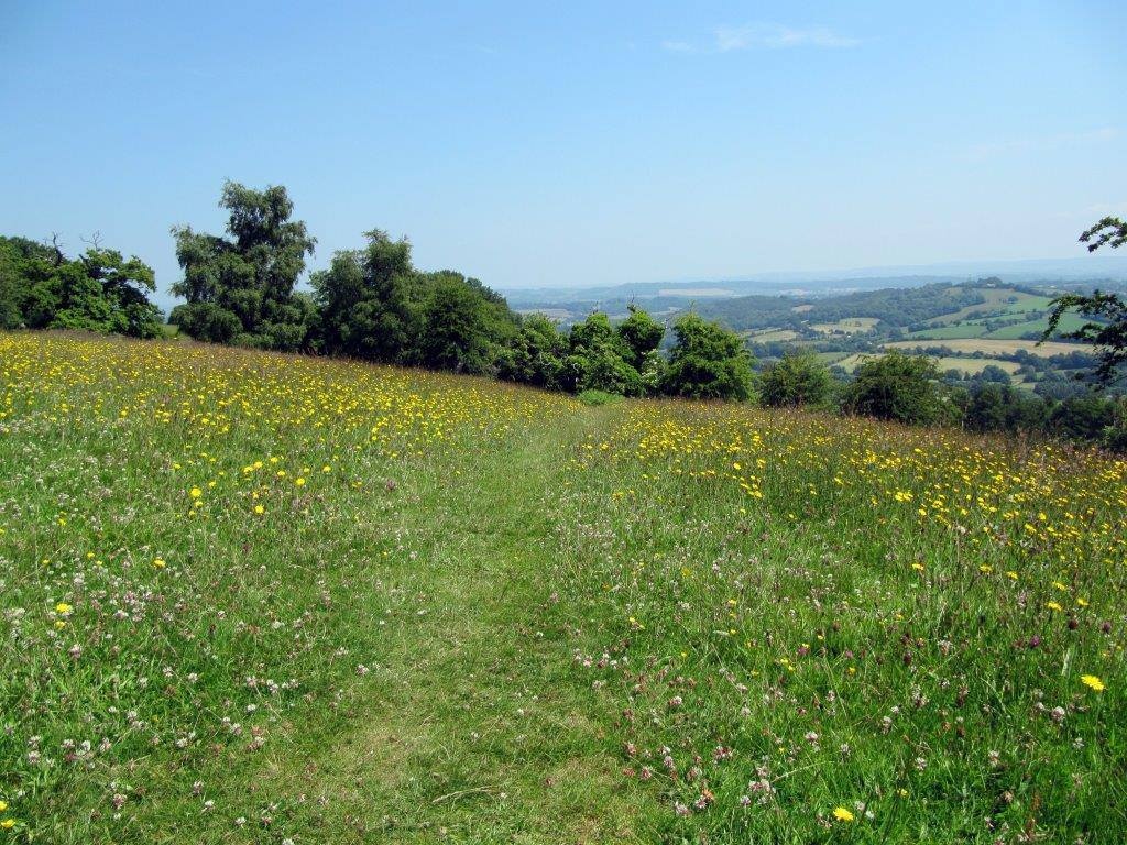 Pontypool Park