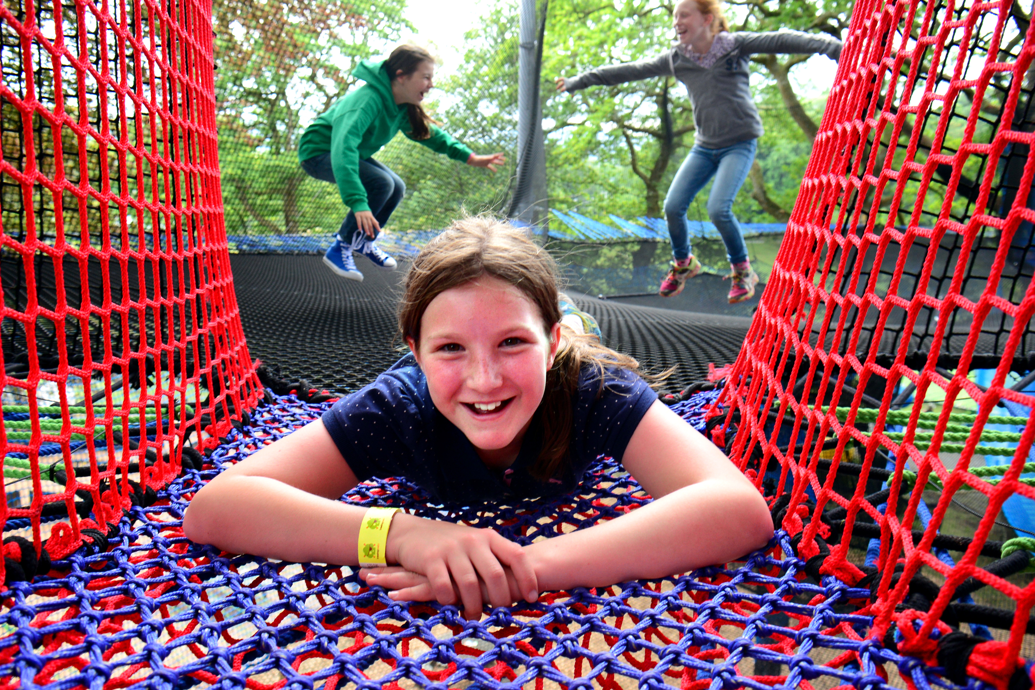 Ripon Treetop Nets Yorkshire