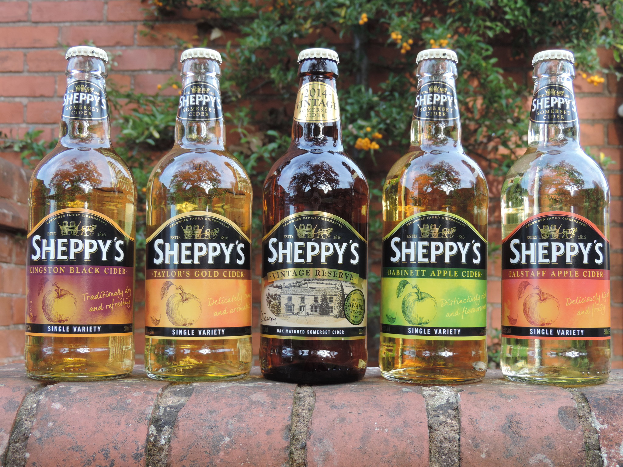 Sheppys Cider Farm and Museum