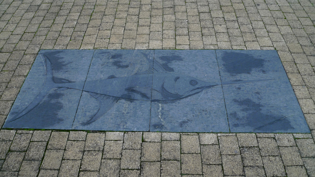 Seven Seas Fish Trail