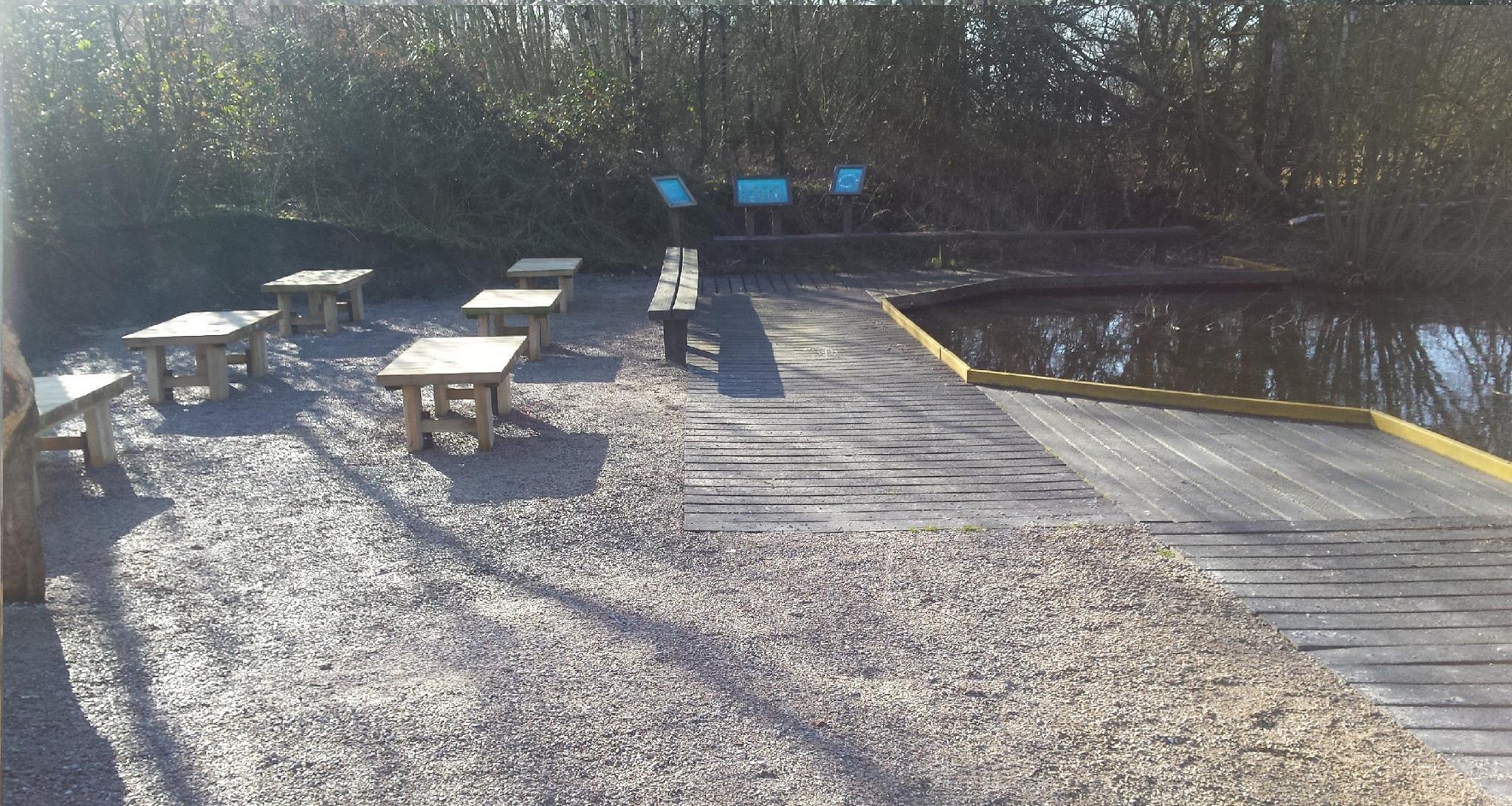RSPB Fairburn Ings