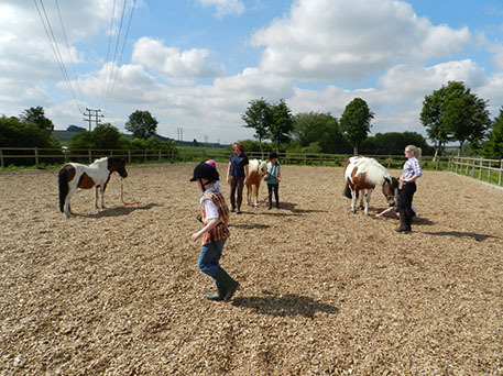 Sherwood Riding School