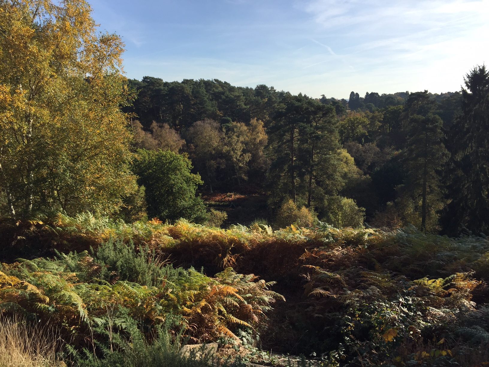 Rushmere Country Park