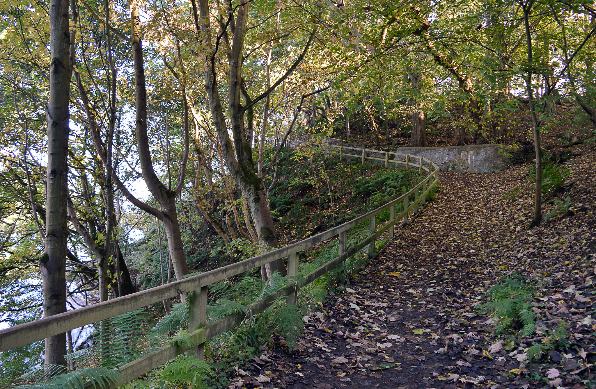 Seaton Park