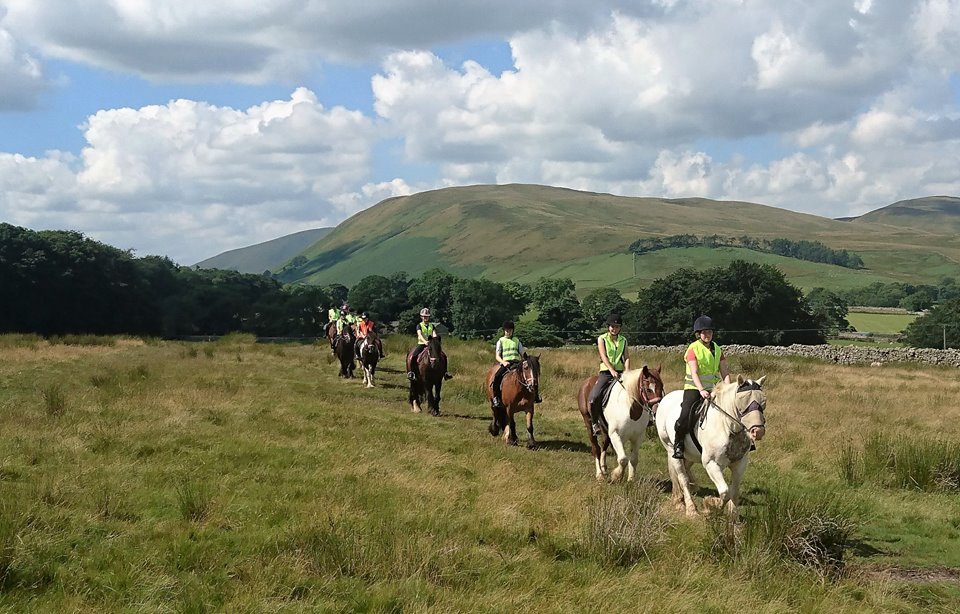 Stone Trail Riding Centre