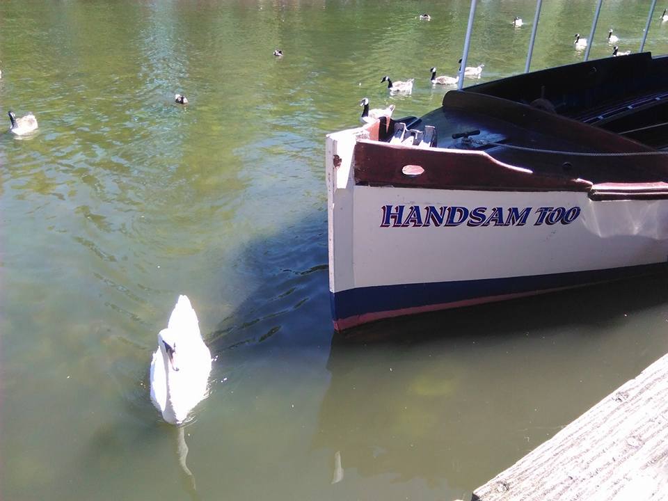 The Handsam Boat Company