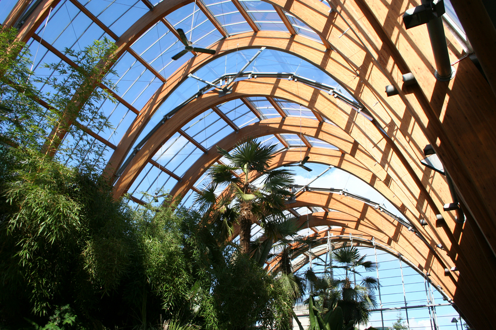 The Winter Garden