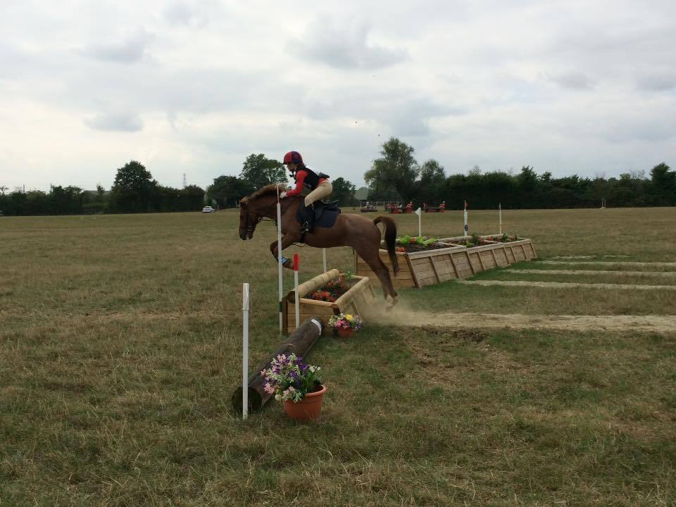 Wellgrove Farm Stables