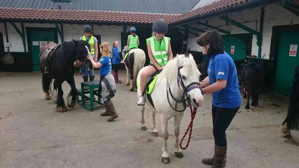 Wellsfield Equestrian Centre