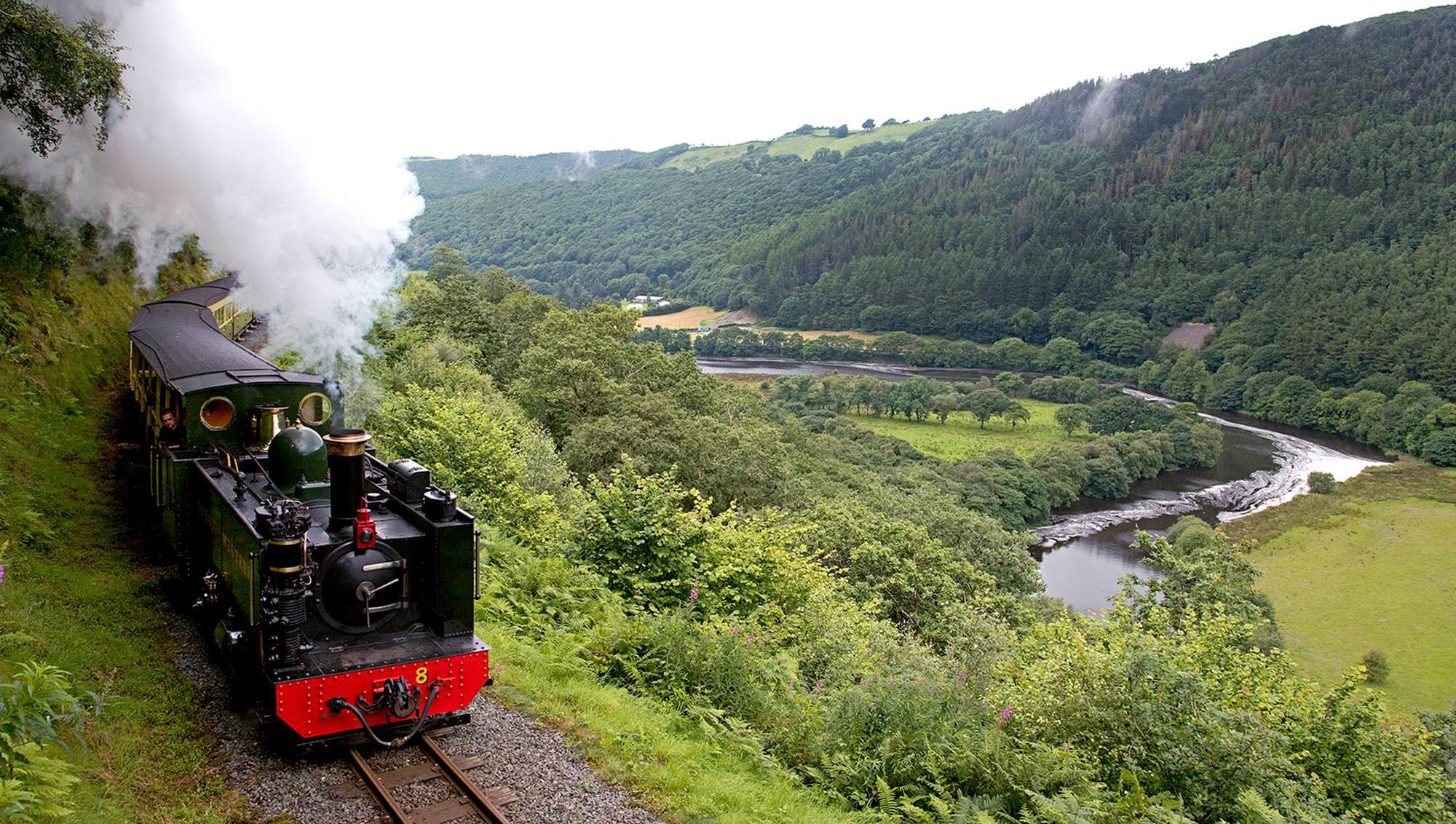 The Vale of Rheidol Railway