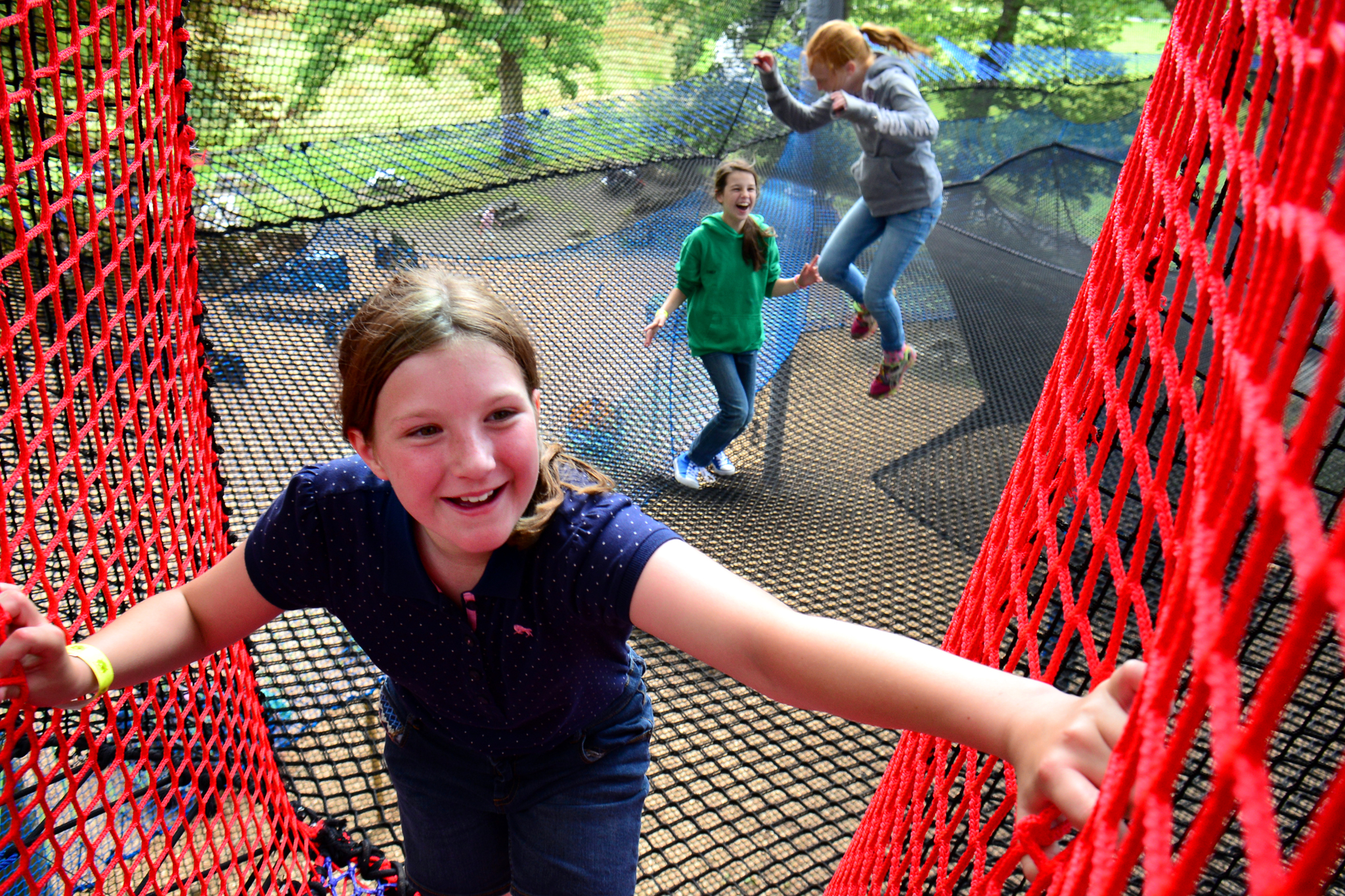 Treetop Nets