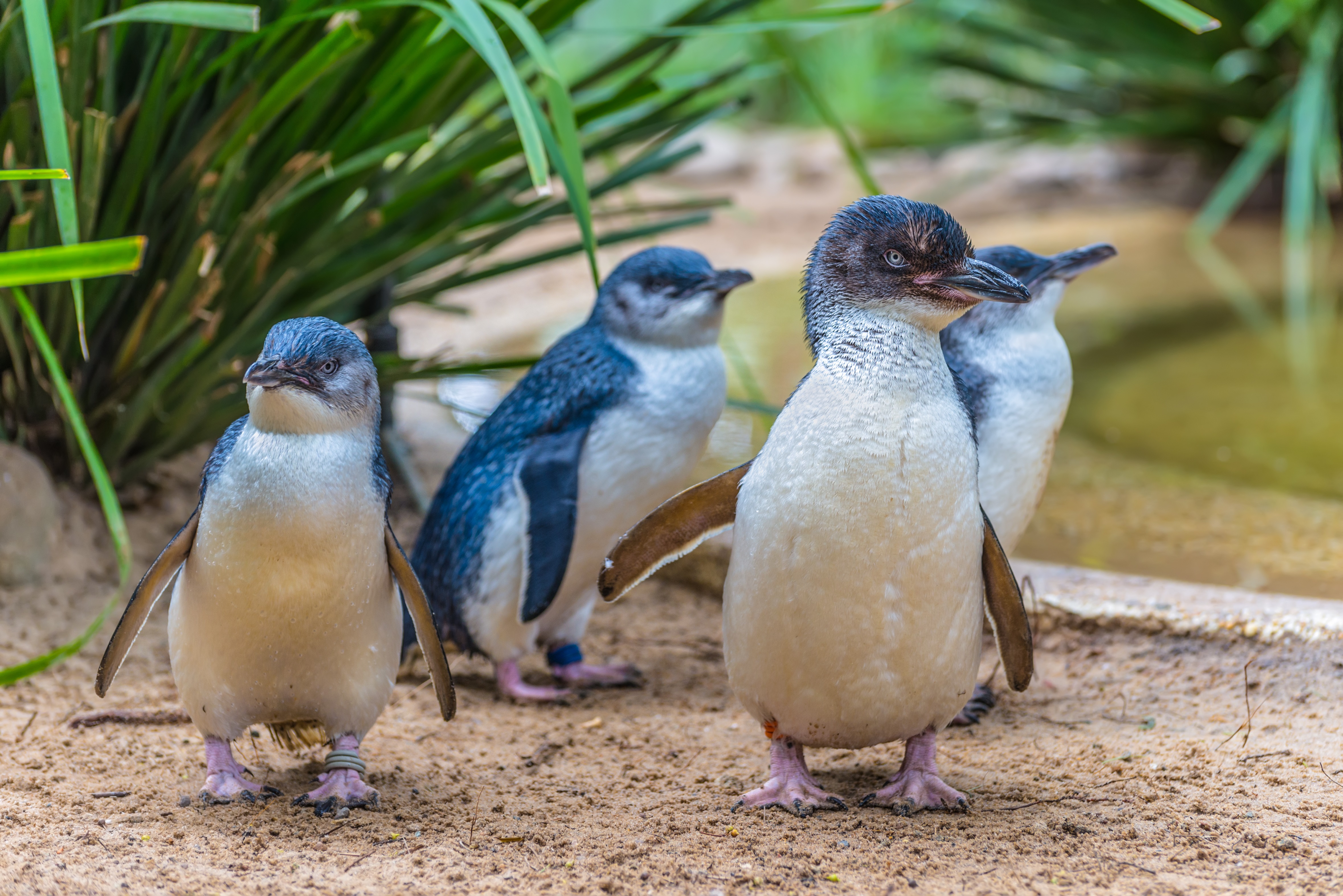 Weymouth Sea Life Adventure park