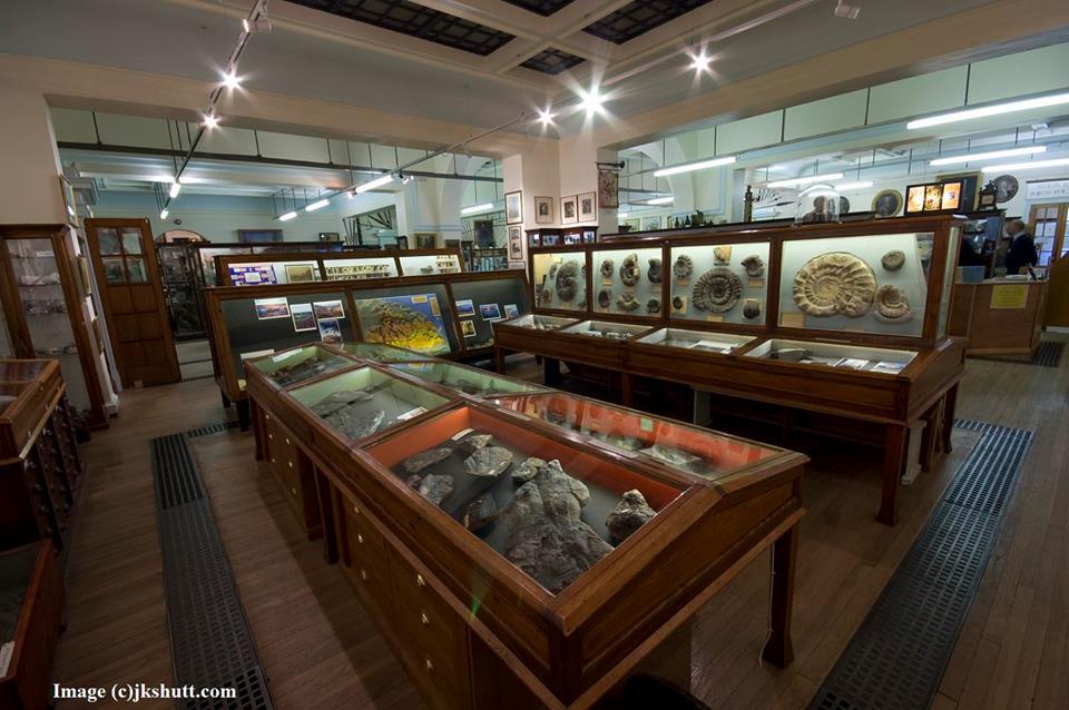 Whitby Museum