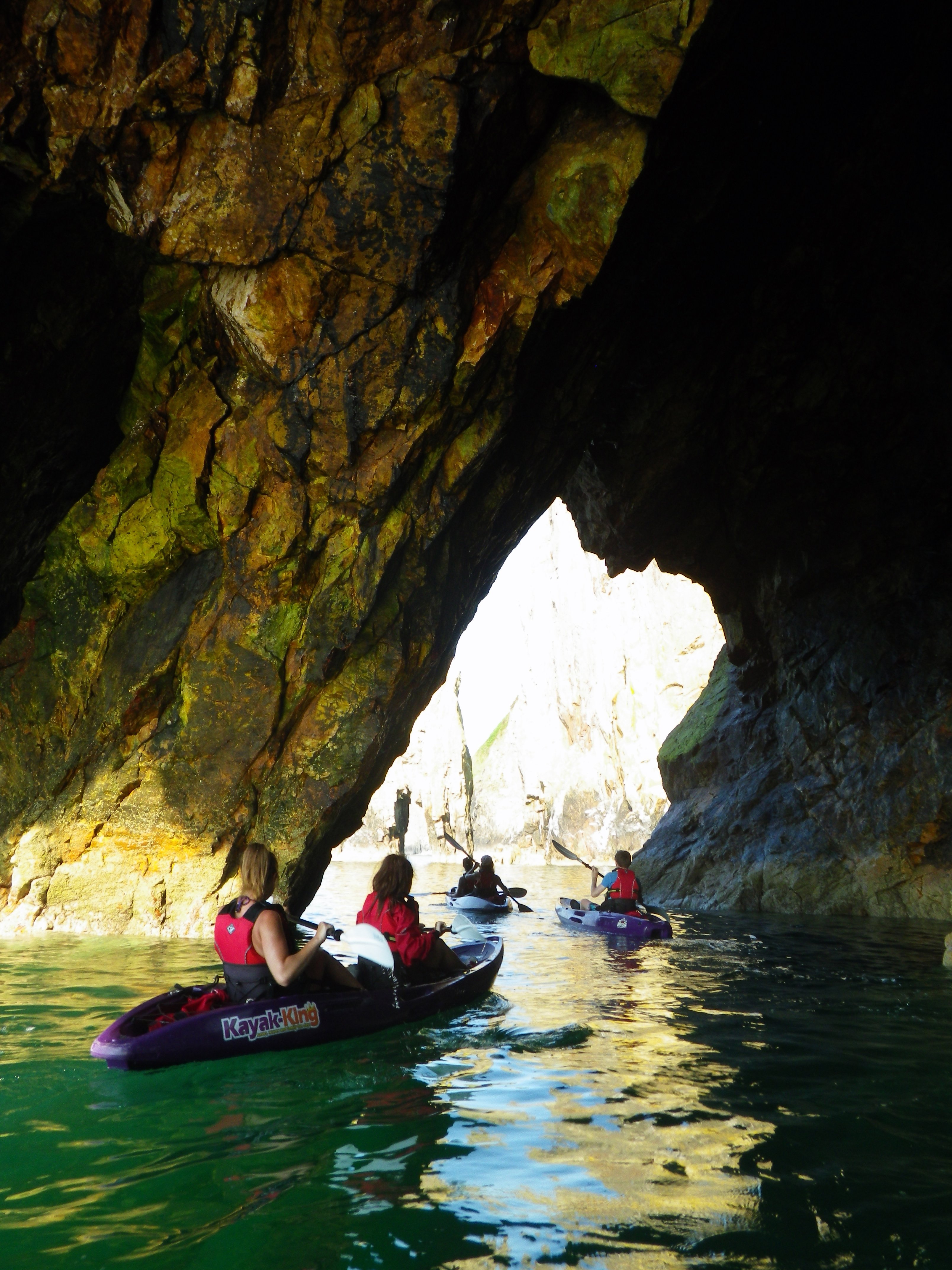 Kayak King Tours