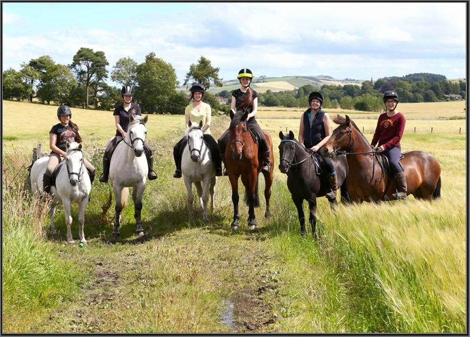 Barbarafield Riding School