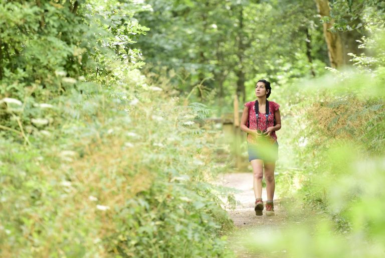 Sherwood Forest Country Park
