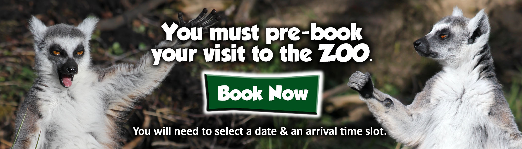 Northumberland Country Zoo