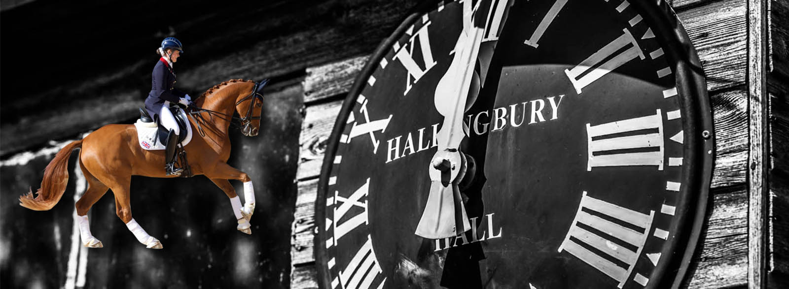 Hallingbury Hall Equestrian Centre