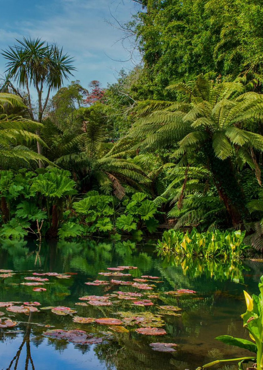 Lost Gardens of Heligan