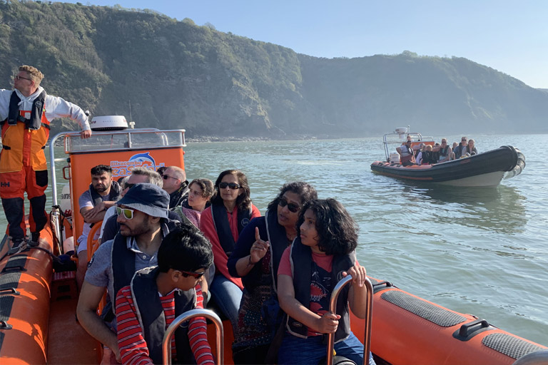 Ilfracombe Sea Safari