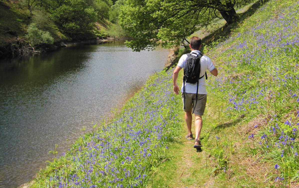 Glyndwrs Way National Trail