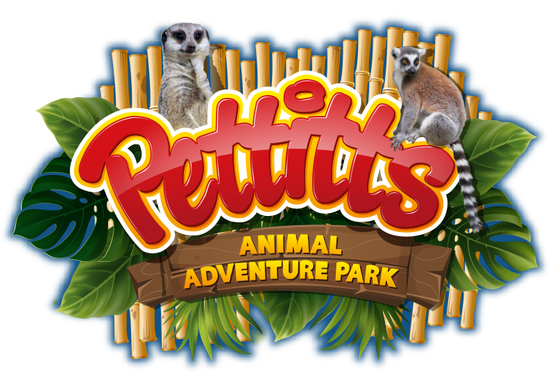 Pettitts Adventure Park