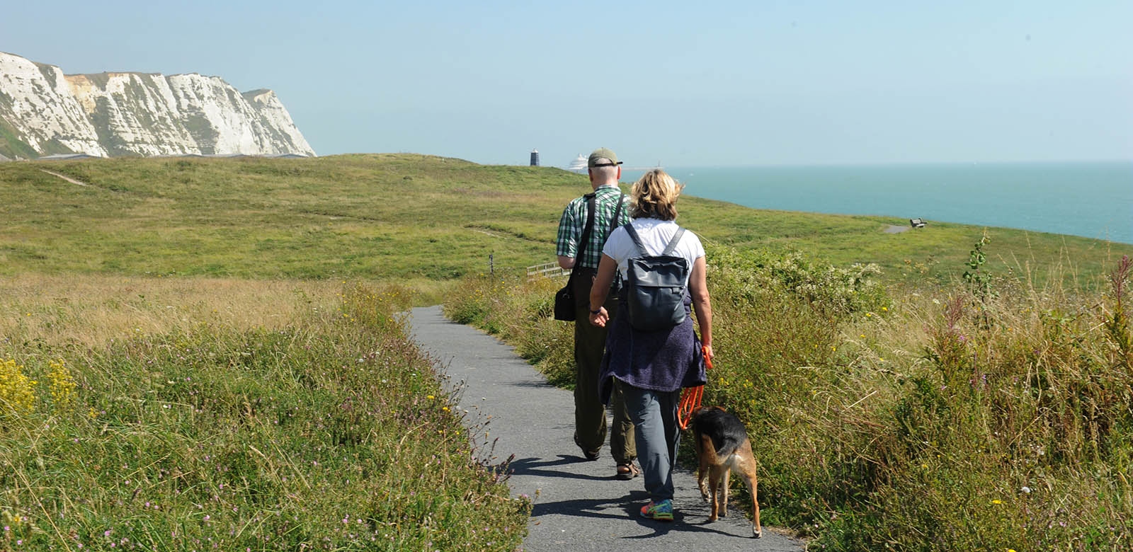 Samphire Hoe Beach