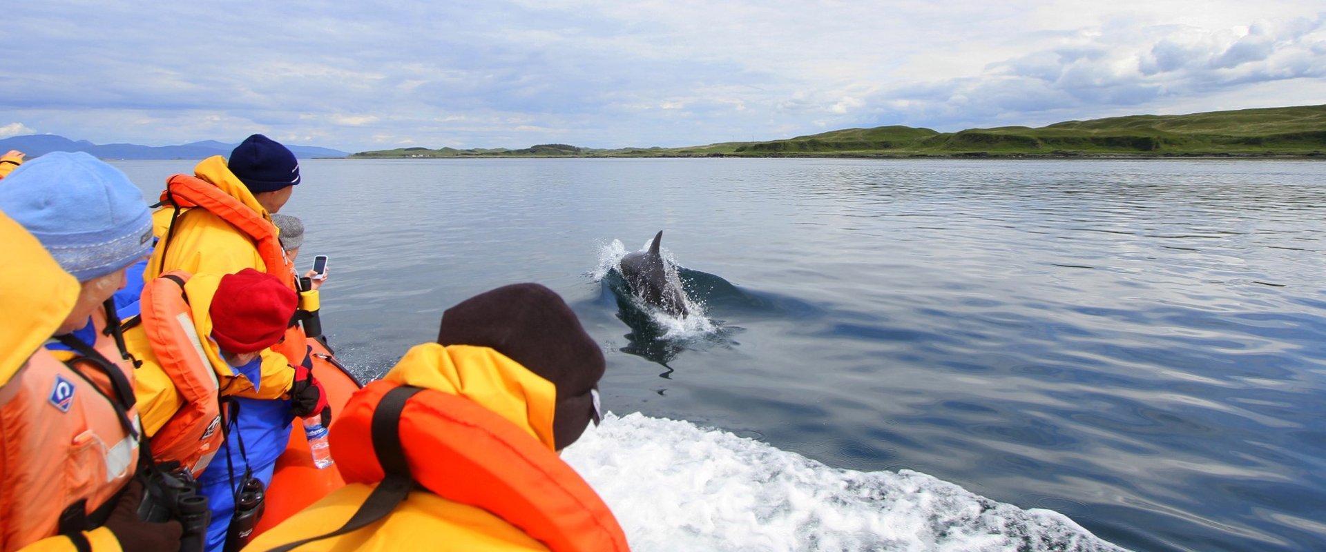 Seafari Adventures Oban