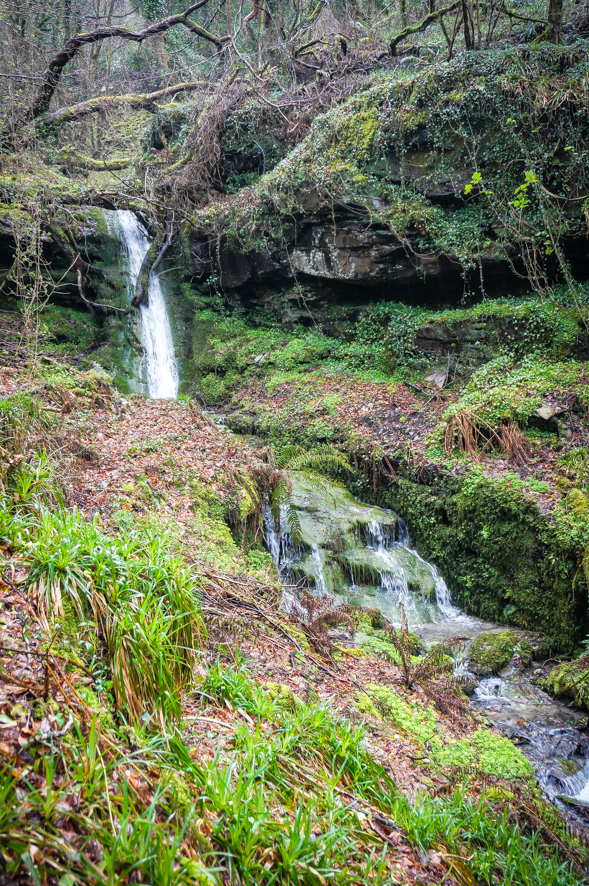 St Nectans Glen