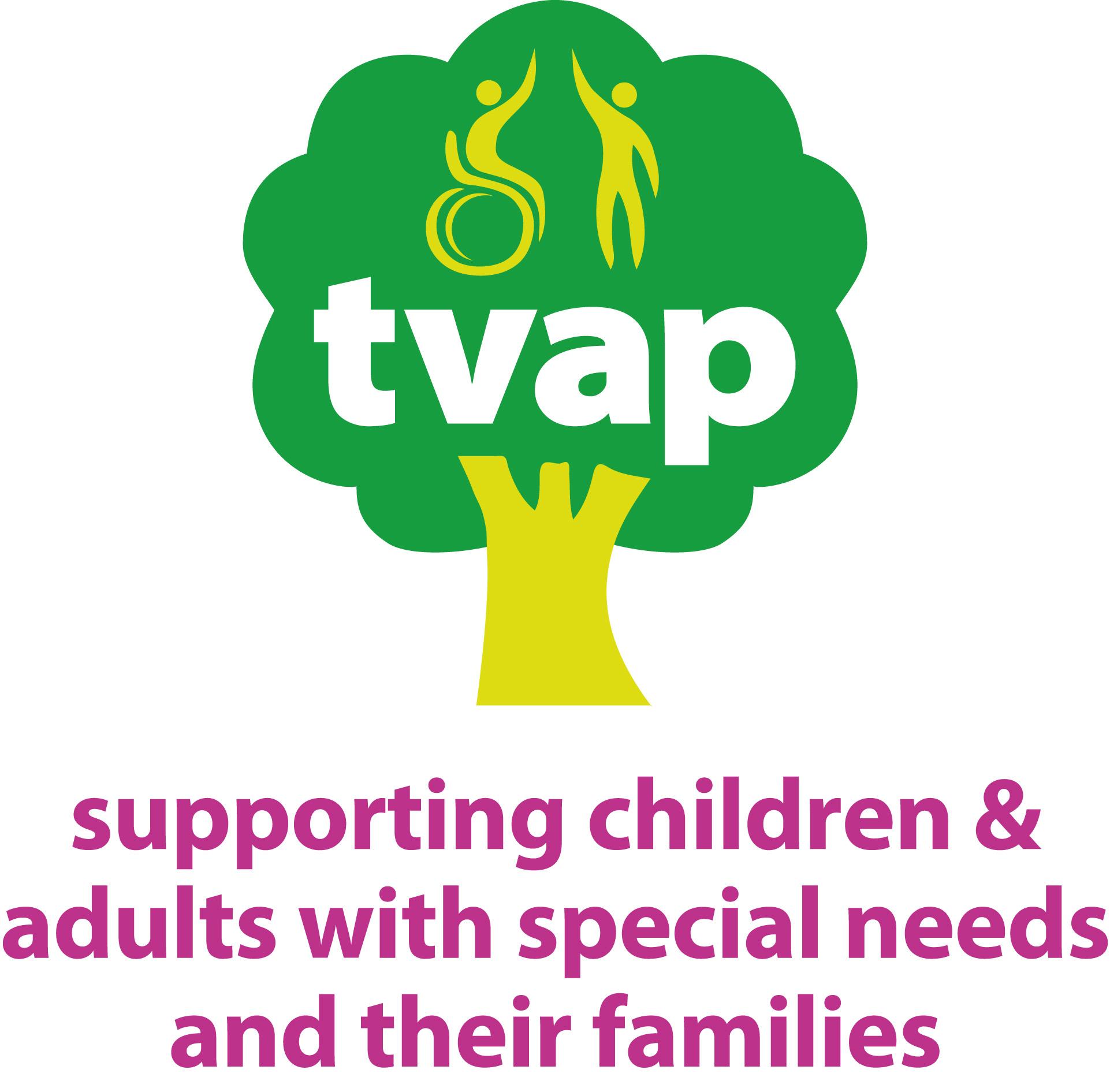 The Thames Valley Adventure Playground