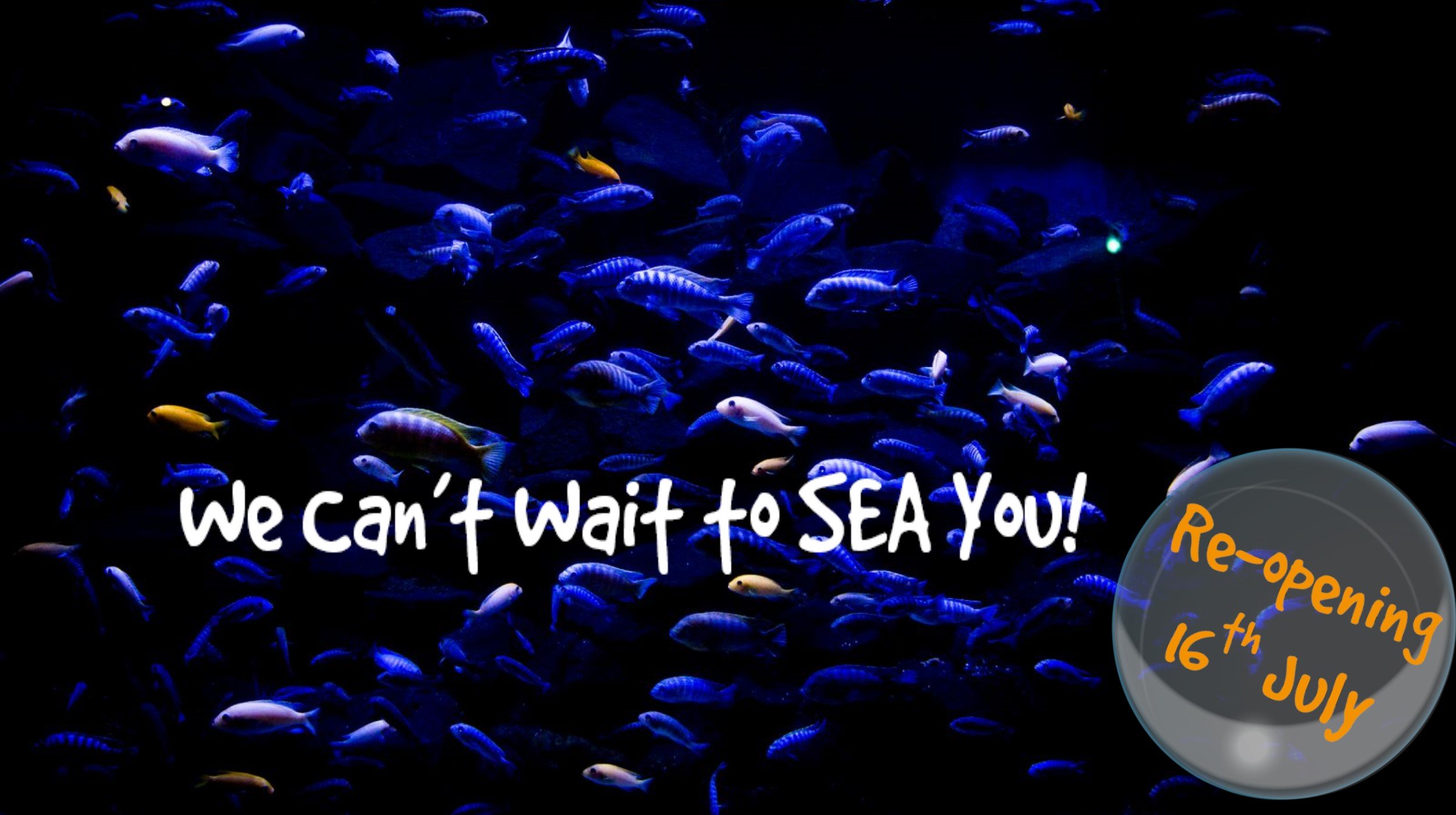 Deep Sea World