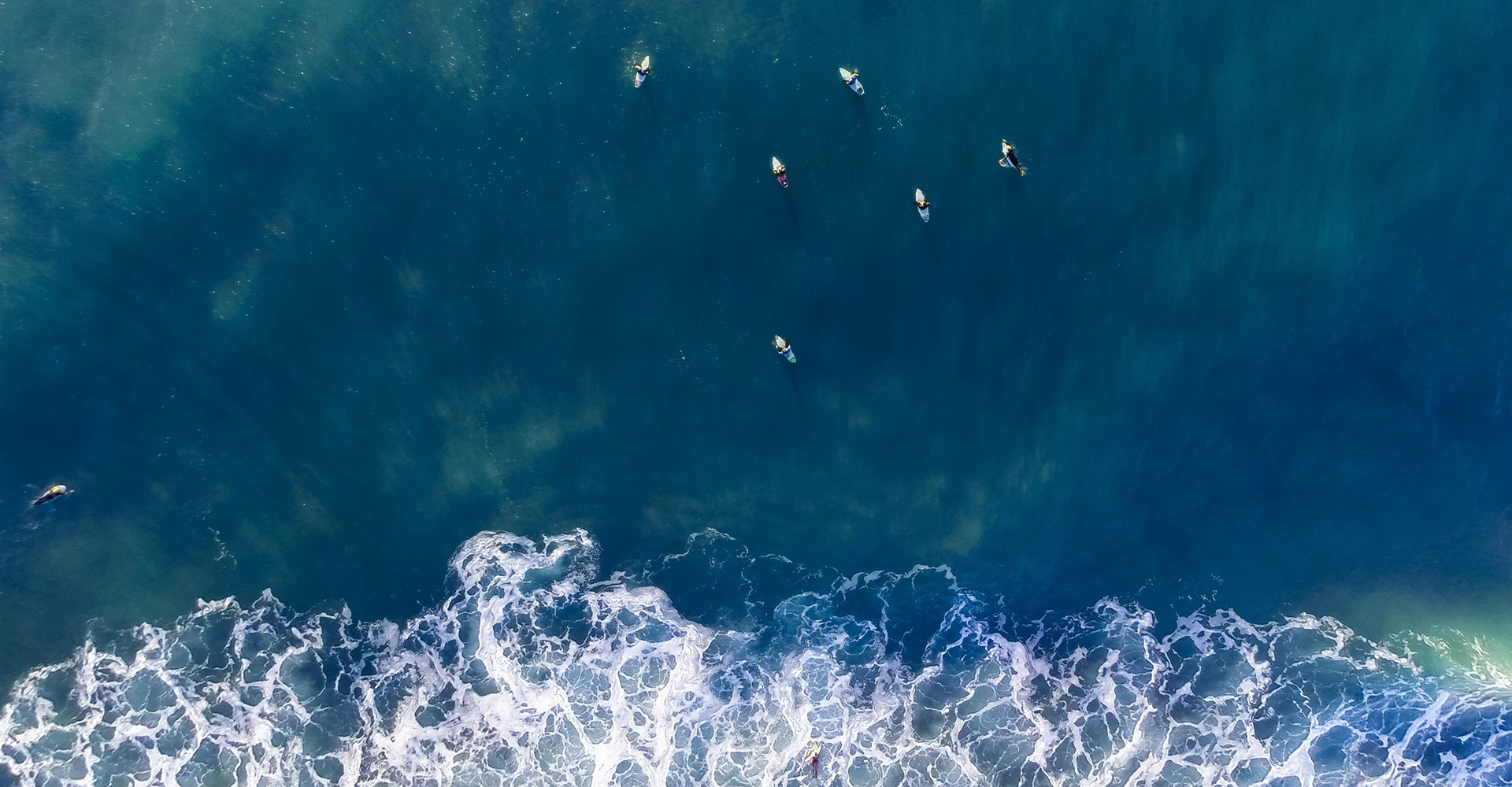 Cornish Sea Tours