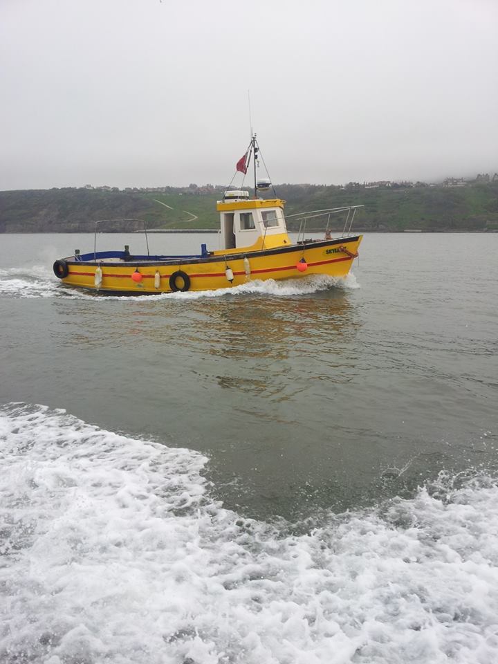 Skylark Coastal Cruises