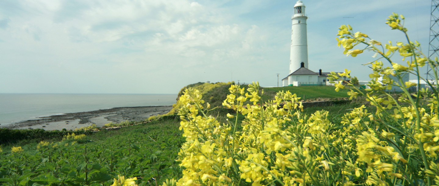 Nash Point Lighthouse