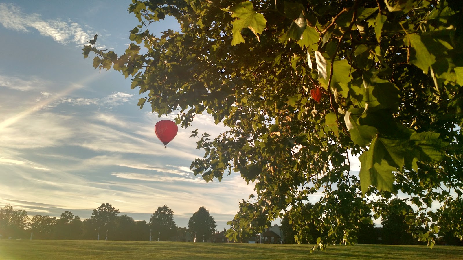 Balloon Rides