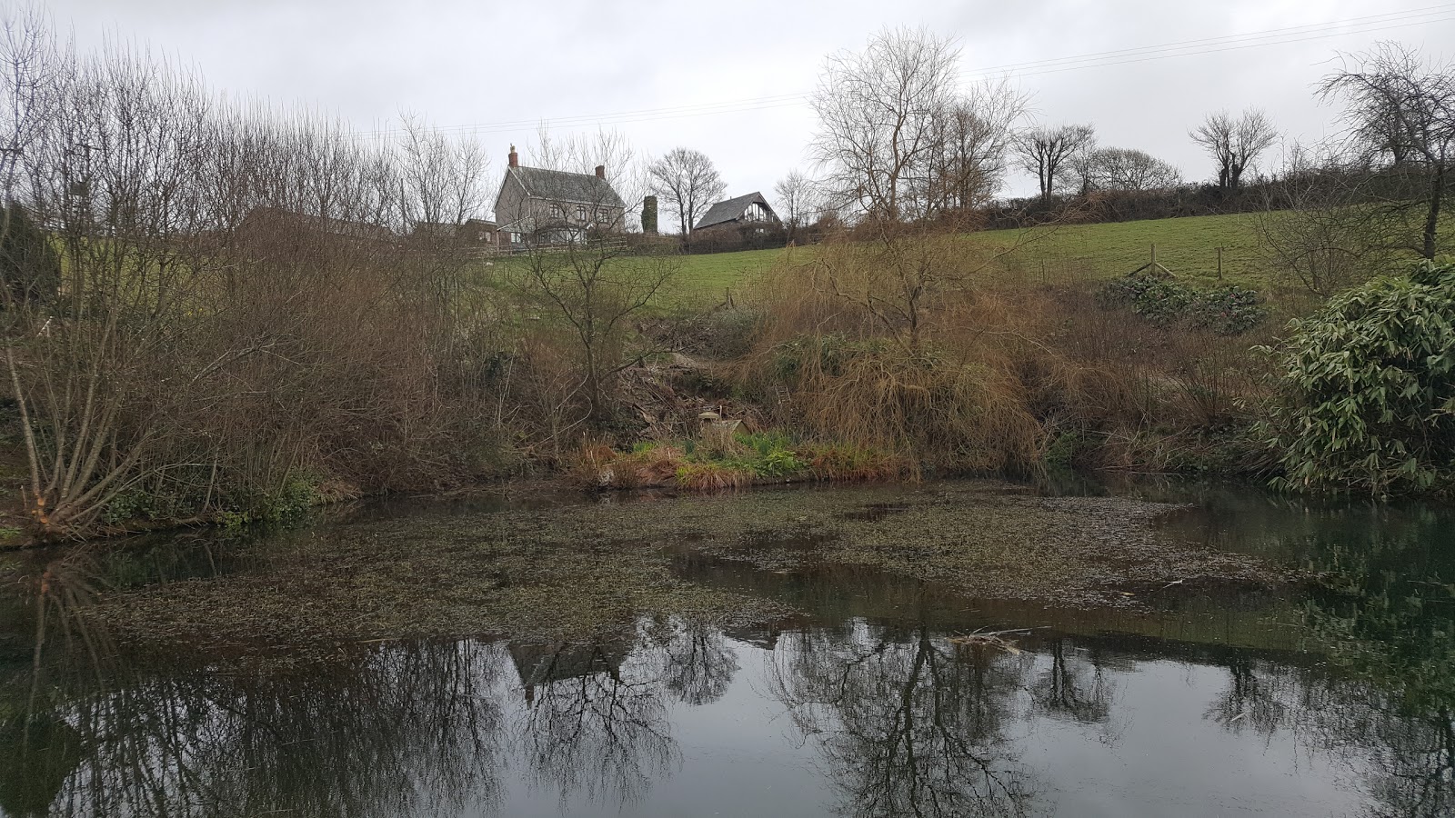West Kellow Yurts