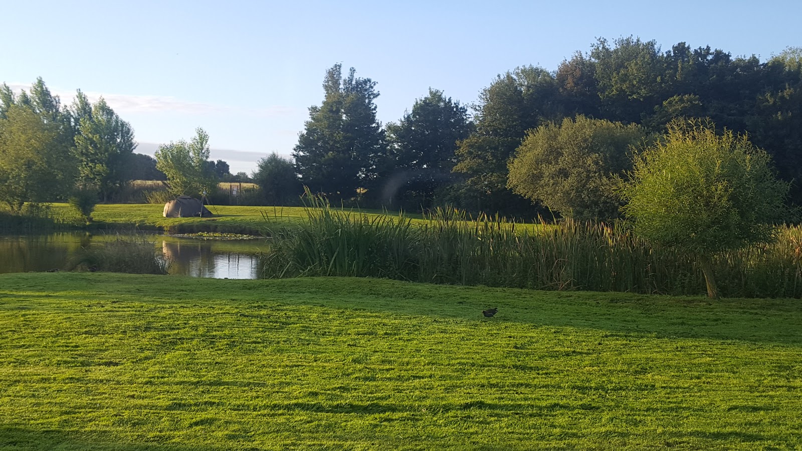 Alvingham Lakes