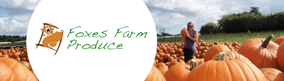 Foxes Farm Produce - Pumpkin Patch - Colchester, Essex