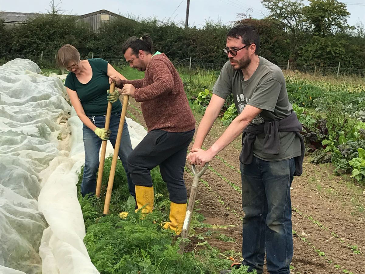 Clinks Care Farm