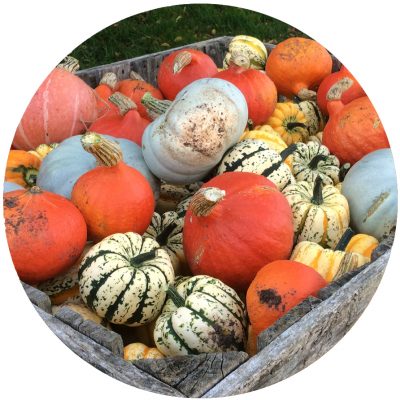 Spilman's Cafe, Pick Your Own Pumpkins and Farm Shop