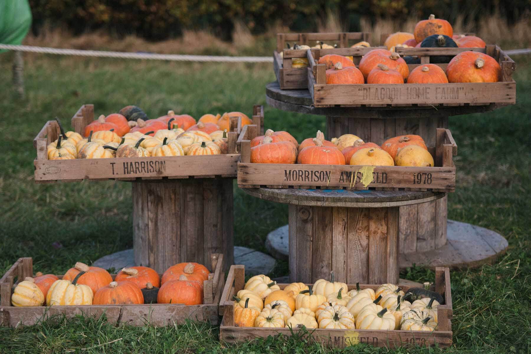 Kilduff Farm