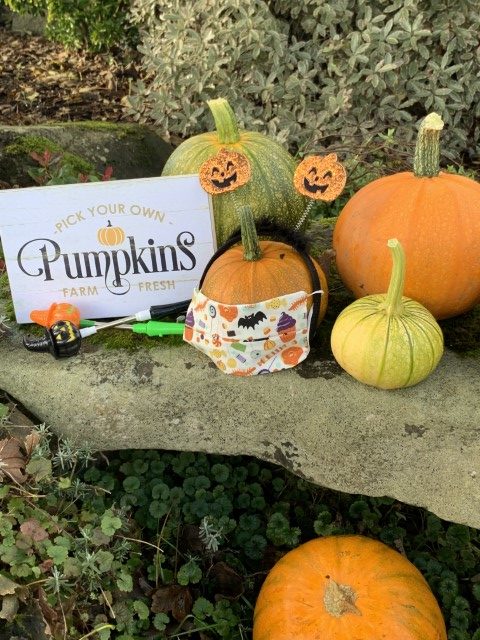 Pembrokeshire Pumpkin Farm