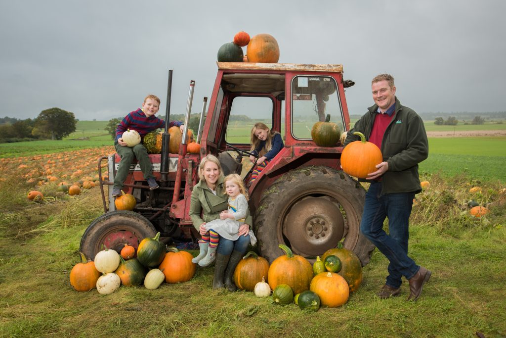 Arnprior Pumpkins